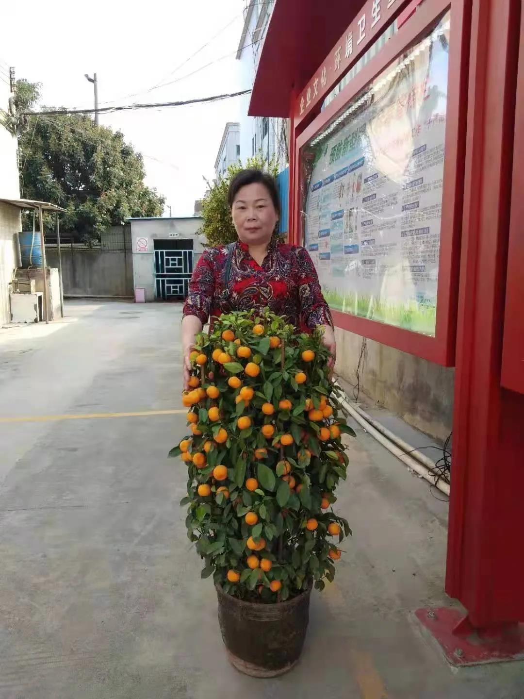 微信图片_20210716095008.jpg